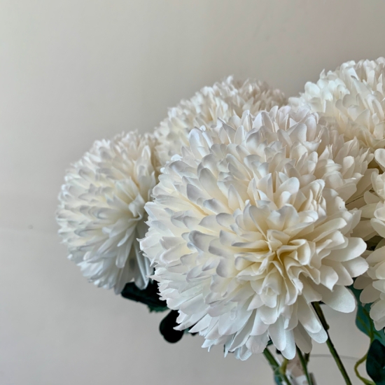 Detalle de pompon blanco flor
