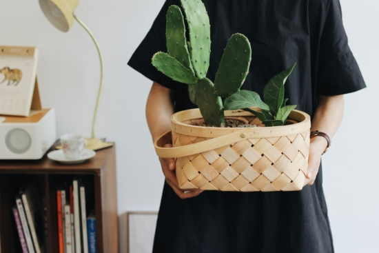 cesta de plantas de regalo cogido por una mujer